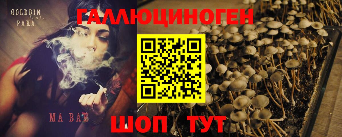 Галлюциногенные грибы GOLDEN TEACHER  Вход с VPN  Протвино  Галлюциногенные грибы прущие грибы 